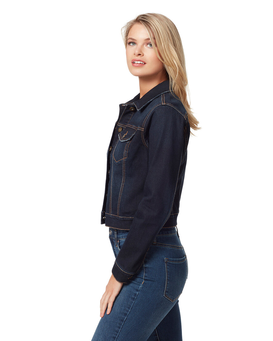 Jessica Simpson Pixie Jacket in Sevy